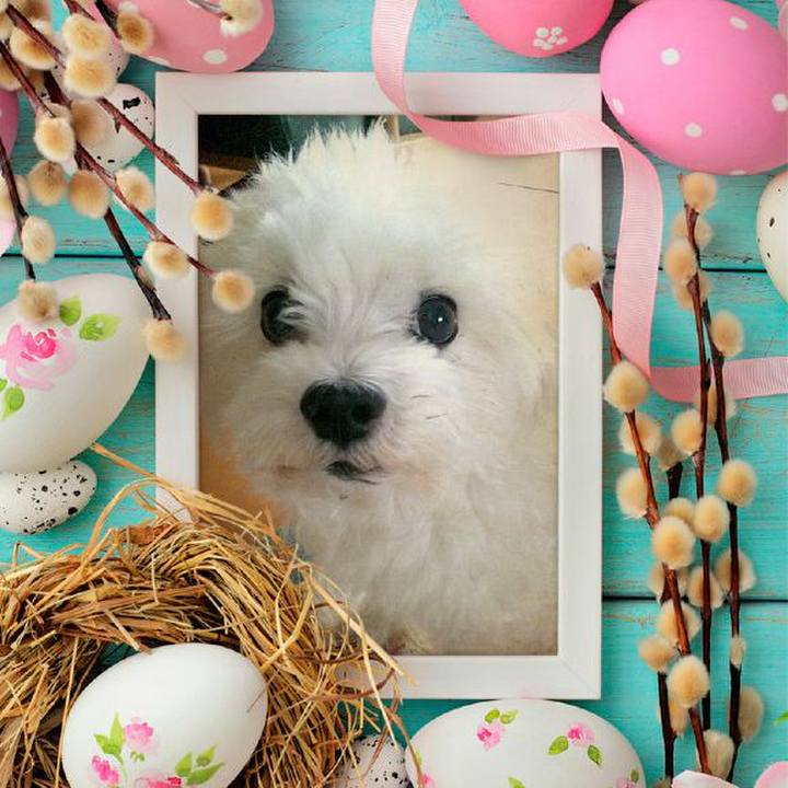 F08a5b39 3bf0 4cf5 ae34 0231d2f80212 1555819215300