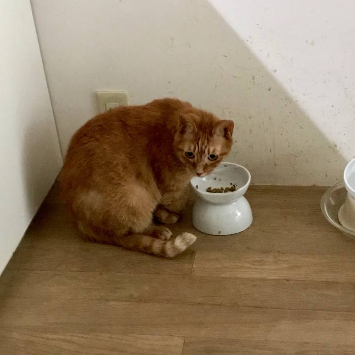 F08a6180 fe6d 421a 8e25 4492cc5045e3 1562904301074