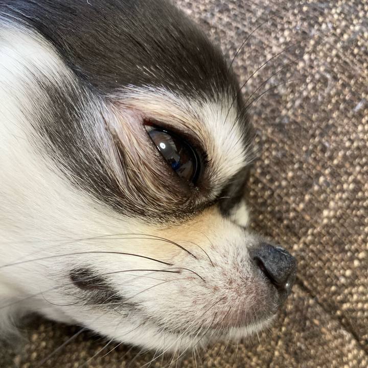 F08a81c2 9692 4d42 88d2 6bfeaf9a2321 1704693224906