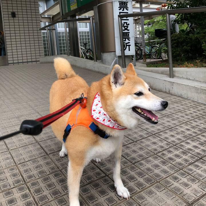 F08a88b1 1edf 4be5 a322 7ce2d7bb0728 1563715032593