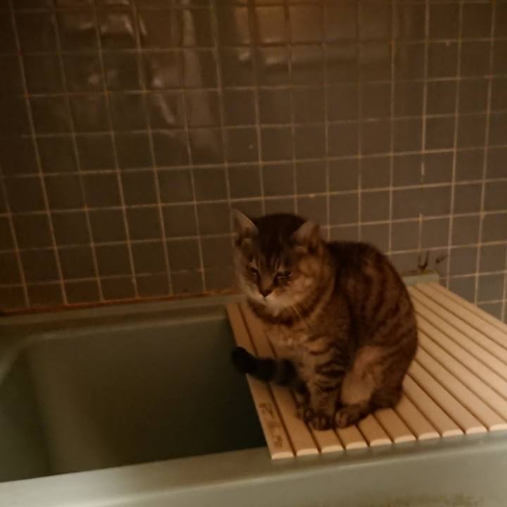 F08ae258 b8bd 4af8 871f b49e70d5c196 1571302957068