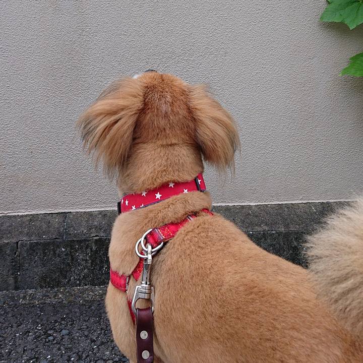 F08b02ee 53d0 42f9 8faf 3141978d1d52 1566724099234