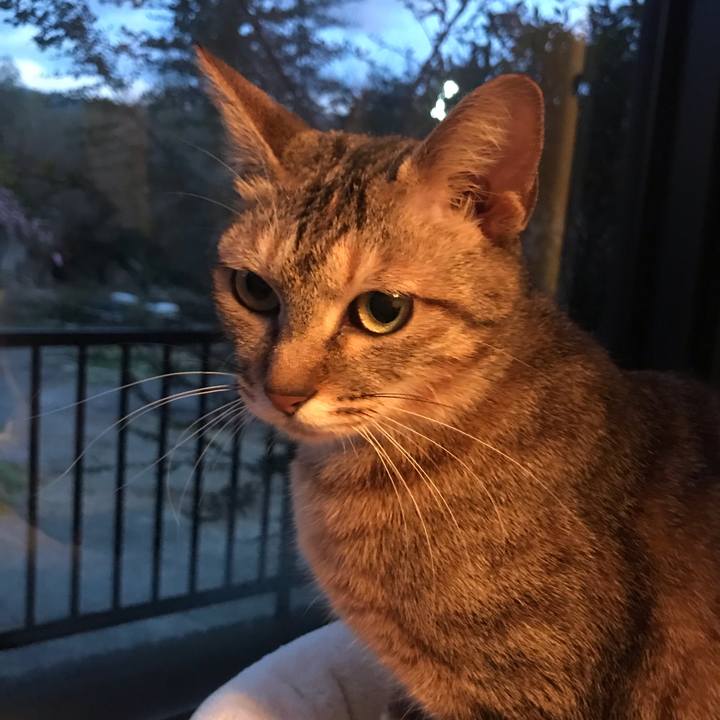 F08b1c28 ed8a 46cc b365 c32d37444eaf 1582794650083