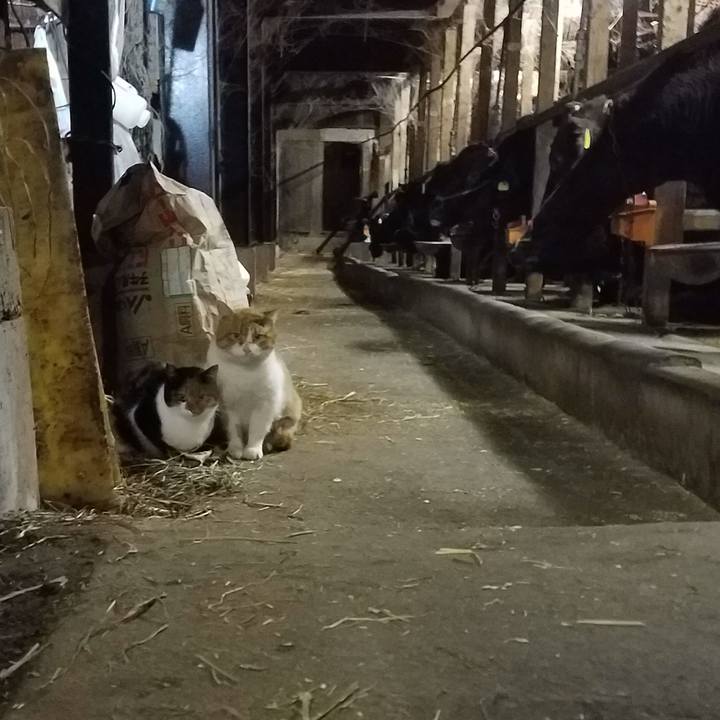 F08b3563 b6ca 4f7a b63d f0d35927f5e4 1576965817310