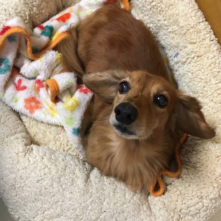 F08b3ecb f81a 46a6 8cc0 e4a629854626 1575469273740