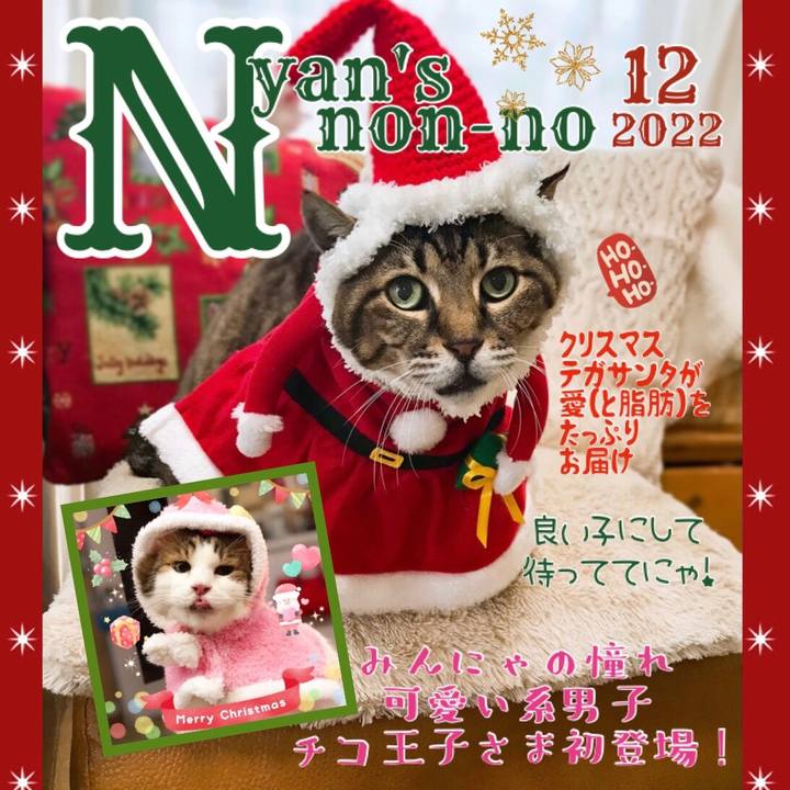 F08b4881 da78 483a 8b3a 748c2d6eb56a 1671869645805