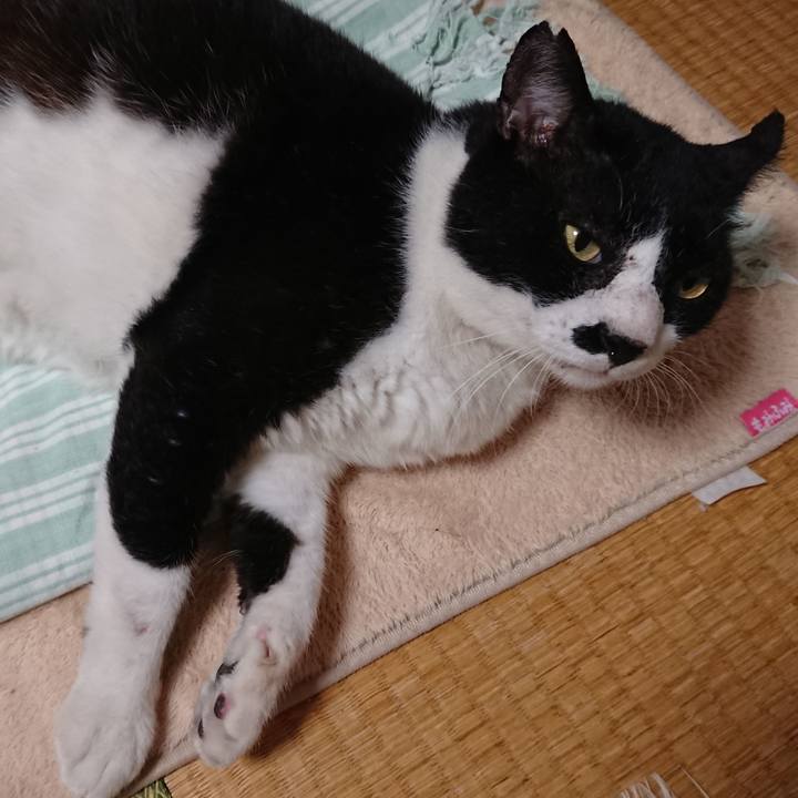 F08b54ad 1ca4 46d9 b07e d4c22561fd72 1569296003423