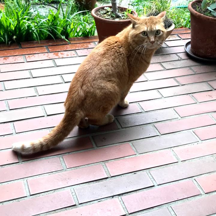 F08b6e75 0215 4770 934e feb56d800b44 1618207120943