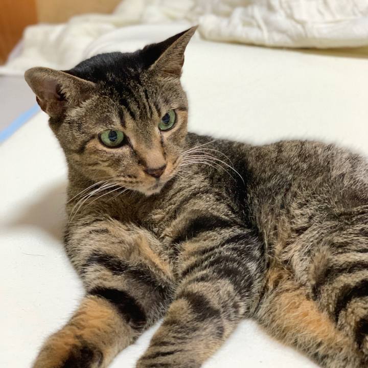 F08b83db a32a 4f91 b9db 763474ad535d 1600478102225