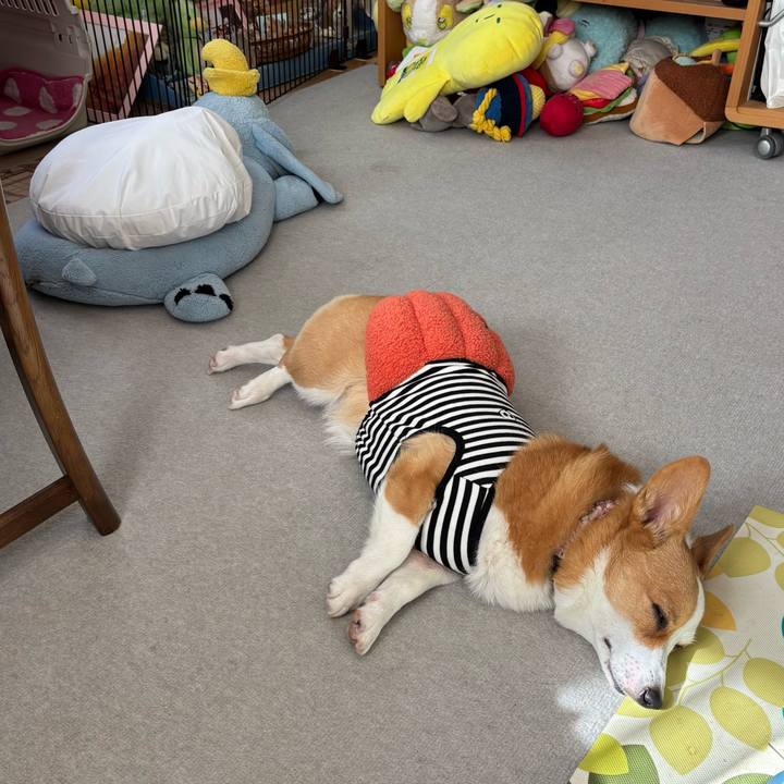 F08bd04d 3e8f 4882 bd2d 43450e701e33 1761546046707