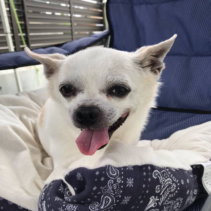 F08be5f9 cb6b 4842 91f8 0ef4a4356108 1658718342322