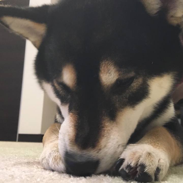 F08be9ee c539 40d1 9588 e9393d8922e8 1514444238577