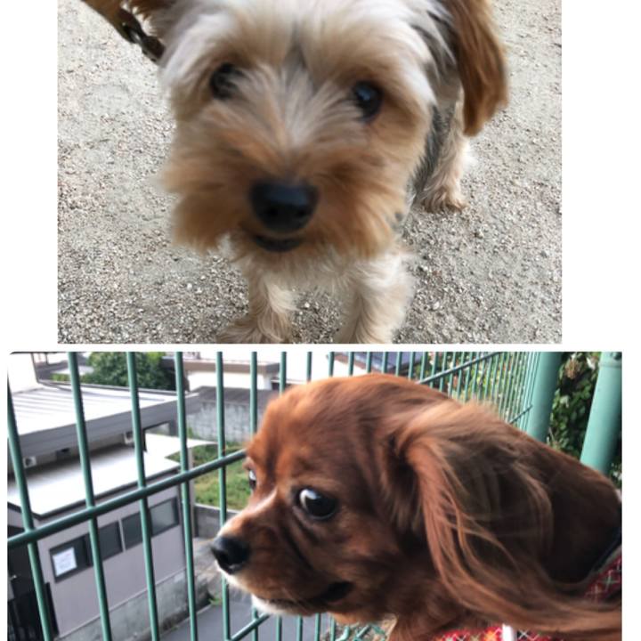 F08c2a17 45f4 42cd b3a0 39ad85b15e2c 1536237432161