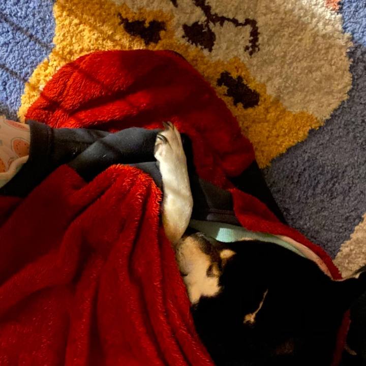 F08c776b 323c 4511 98fa 52ed3584671f 1608418996903