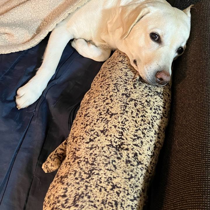 F08c8b34 95e6 4420 b5b0 0729567abd76 1673618198636