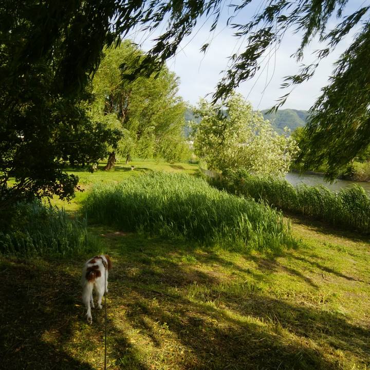 F08c8ed8 9b9d 48ca 9e02 ffc438a9f39a 1525337269325