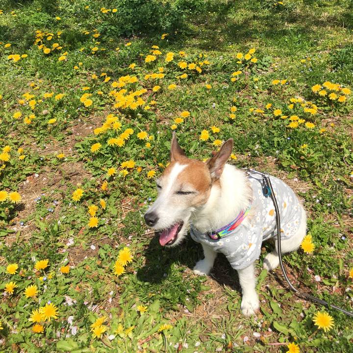 F08ca17d bd60 4a0a a40a 670316f8b188 1649547683067