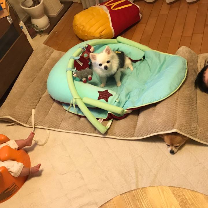 F08cb46c cad1 41ac a1f2 d27a5a3a0d45 1517406601796