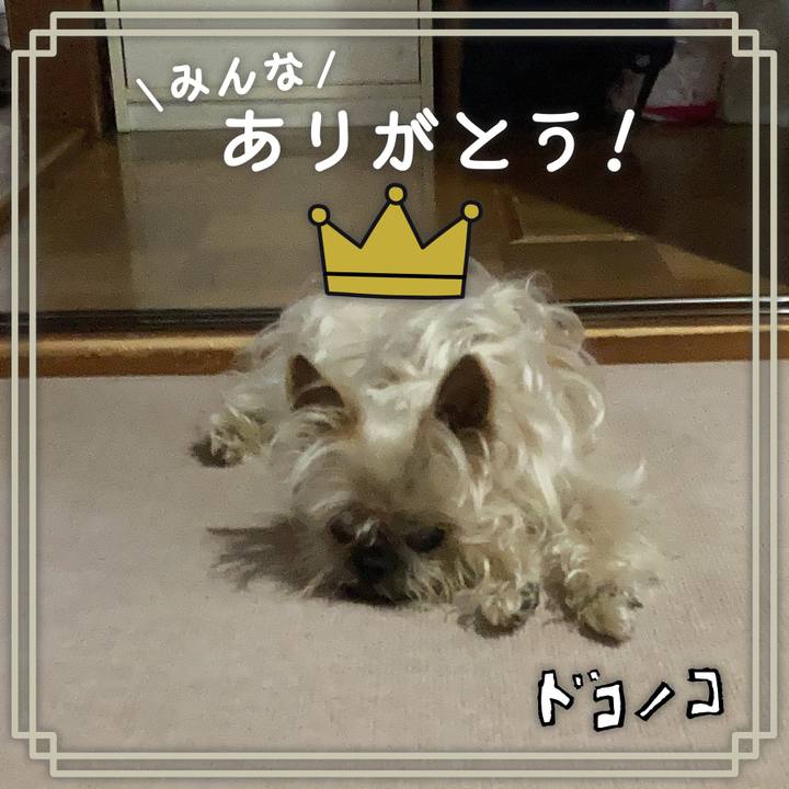 F08cb77b edfd 4967 a6e0 33e9c12eef04 1622937284047