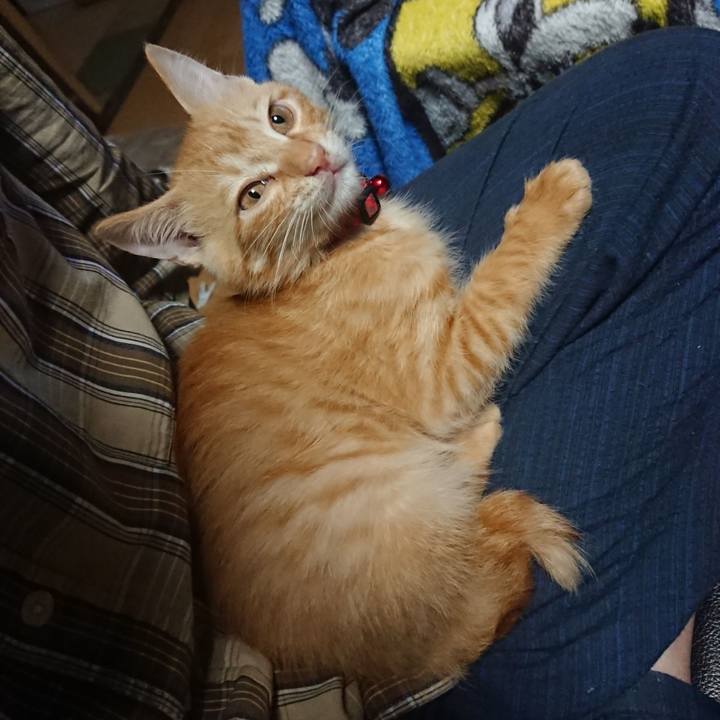 F08cbf5d a309 4a26 bbf0 9b81823b8694 1631308670853