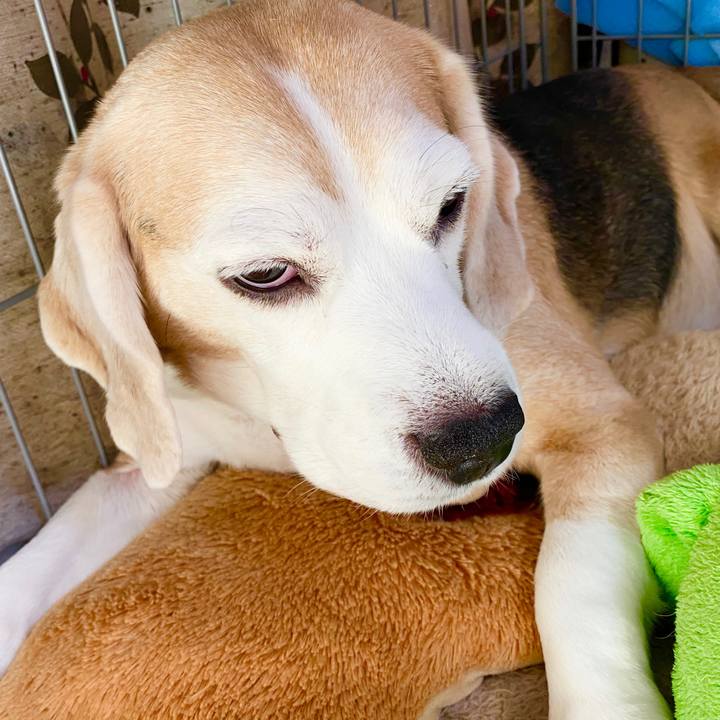 F08cd9c2 8f22 4fe3 ab58 ed8c1fca016a 1589341438895