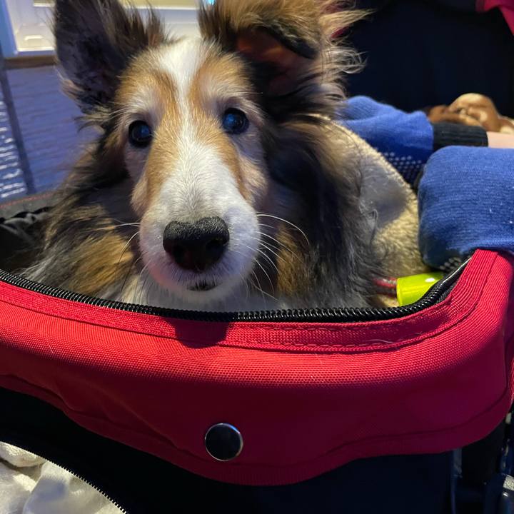 F08d26bd 5b2d 4e8e 866e 94f6b19d1dcf 1618223408454