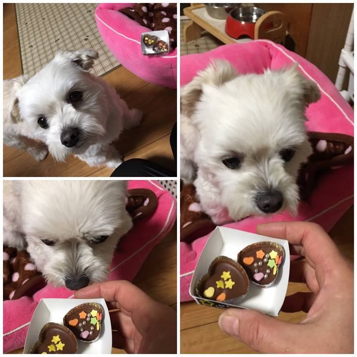 F08d2ae1 d991 40d4 b214 a0064535e54a 1550142618260