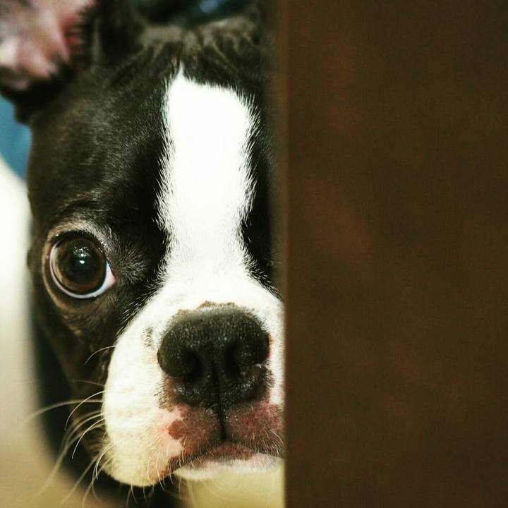 F08d3c5b 6dea 4aca 98a1 c8d1e2aed68d 1509025123257