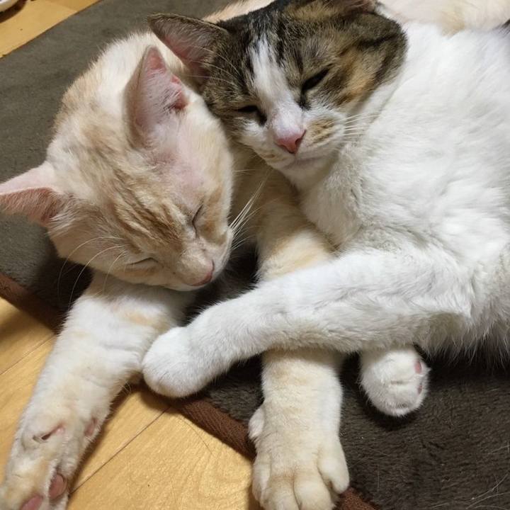 F08daa96 5615 4910 ab1a 3efdc7be0e99 1635545048904