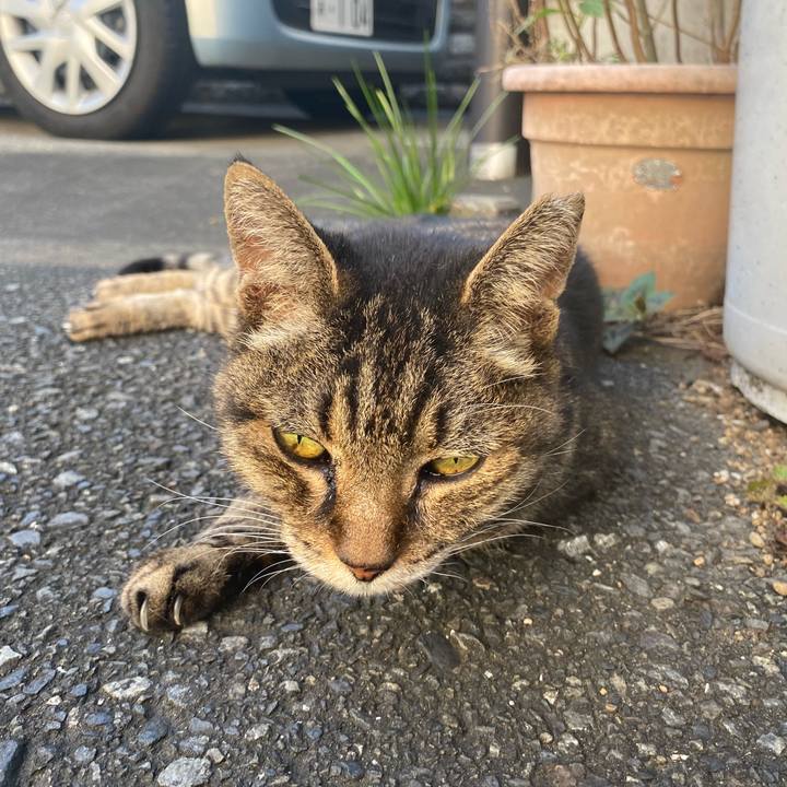 F08dbc75 74ae 482d ad84 d7b8658f0e0b 1666507426306