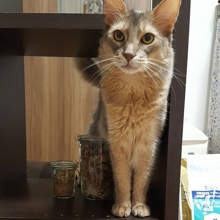 F08dbf46 7dae 42cd 8eda 8aea5caddf5d 1566648523990