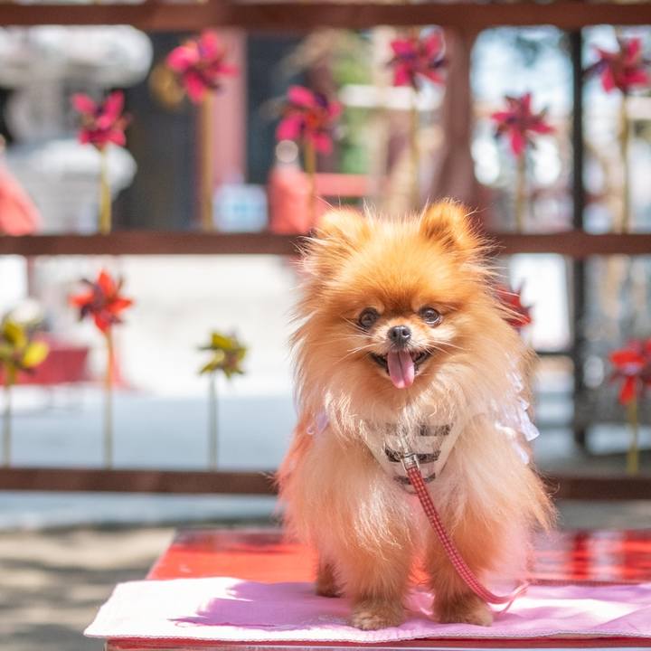 F08e35d3 66fc 4a0e a97c 496dfe4ee00e 1627255870837