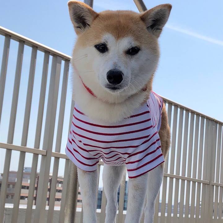 F08e5774 dbd1 432a 913d e4c05cf3e021 1527381659963