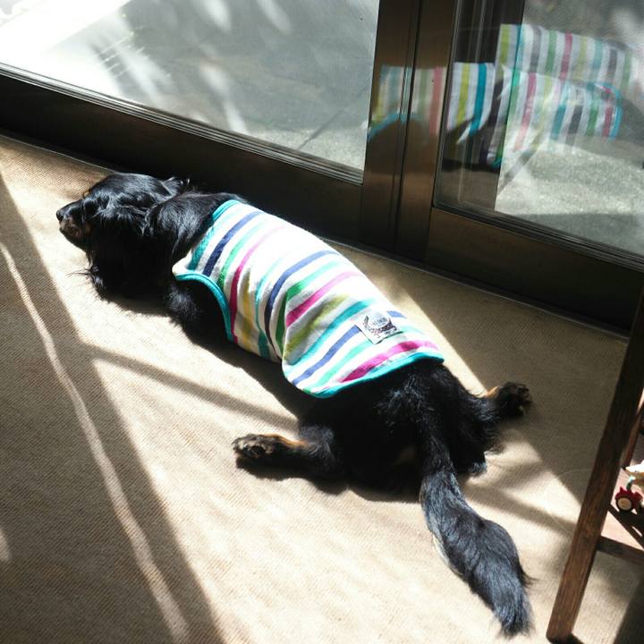 F08e6677 ff1d 4f2b 9a07 92f7b6a0724a 1600044394067