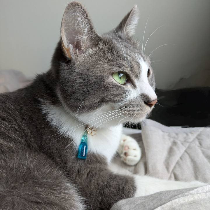 F08e8727 0193 48f6 a06f 18aa798a0a20 1728429932759