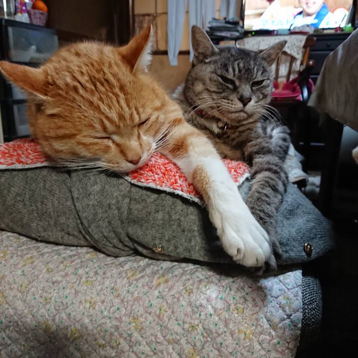 F08e9e93 0391 4739 9c7b afc4d619d8a5 1580987586070