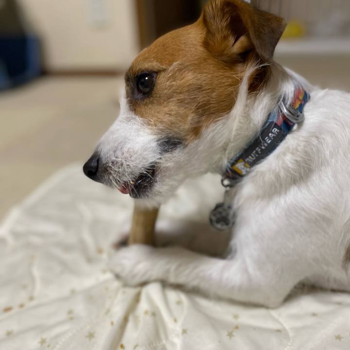 F08f122b 9b54 42d7 a434 6710d45b84b0 1754750349879