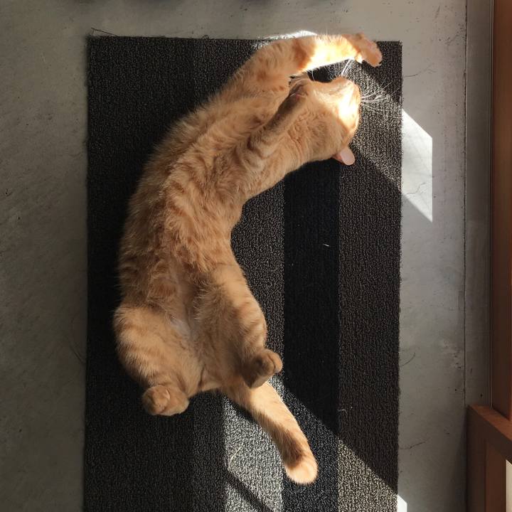 F08f1874 45d4 4d84 b9d6 4e8b4c5fec0c 1541079389011