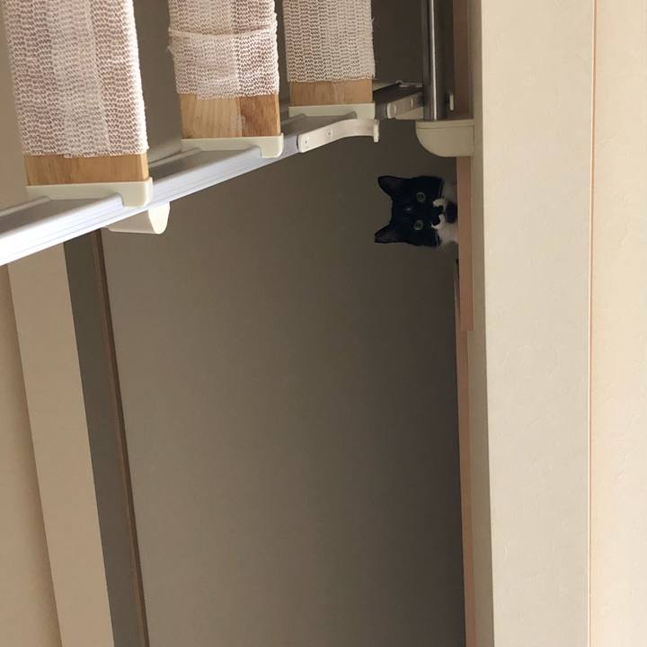 F08f55e3 54e6 46b3 b82d c5b41859e680 1550742204107