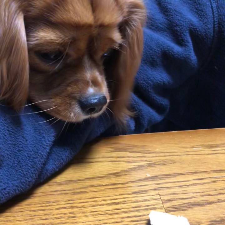 F08fee4b 2da6 494e 83fd 690832c8c02b 1552602398270