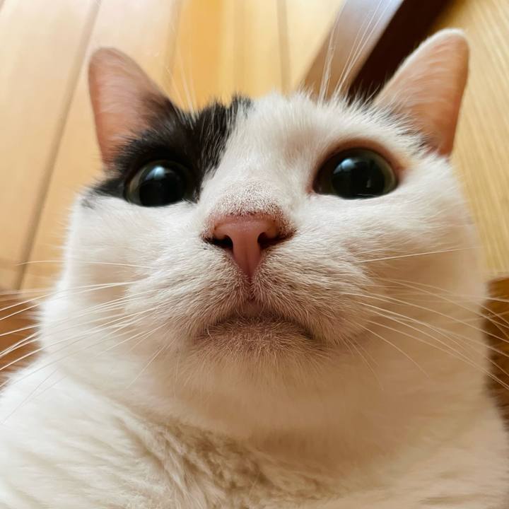 F08feeb8 0b54 44a9 bf37 38d5570a7be5 1661219945369