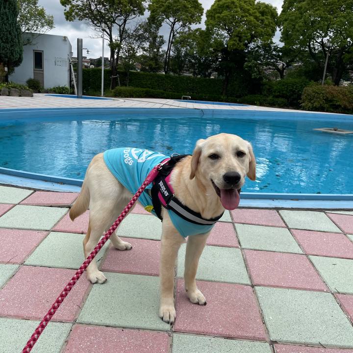 F08ff635 4844 4a47 9329 fe25b288dd10 1622267300973