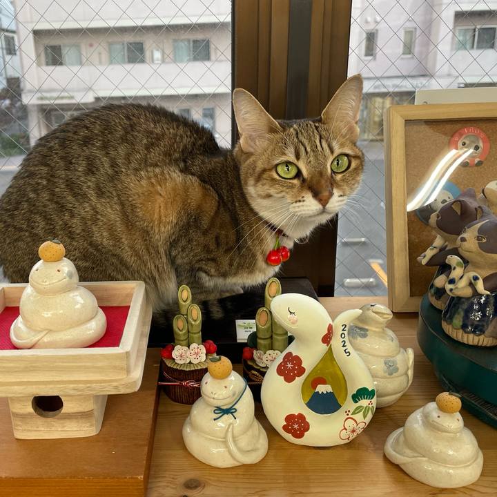 F090152e 2c9b 4bb7 b129 7a21c269f19c 1732617434113