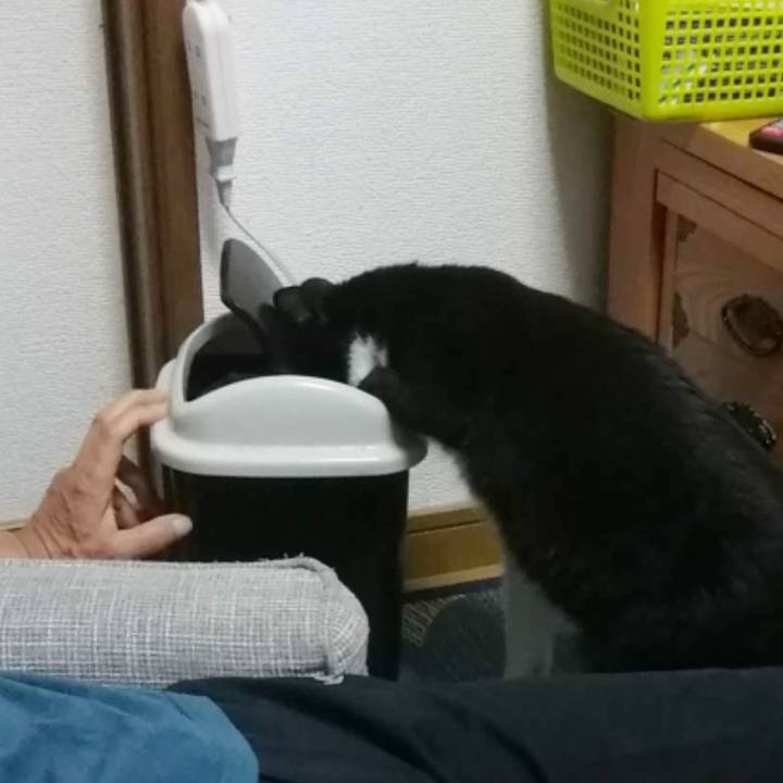 F0904b0a 5ebe 4c43 9c5c afe3757cd076 1597154803827