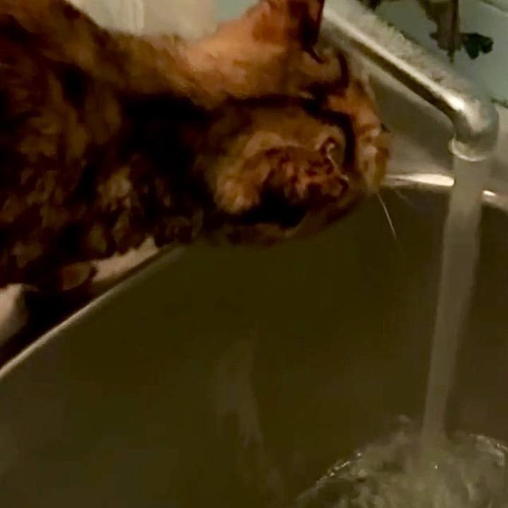 F0905fc2 9f16 4486 8248 d1e2d49bad02 1759697947458