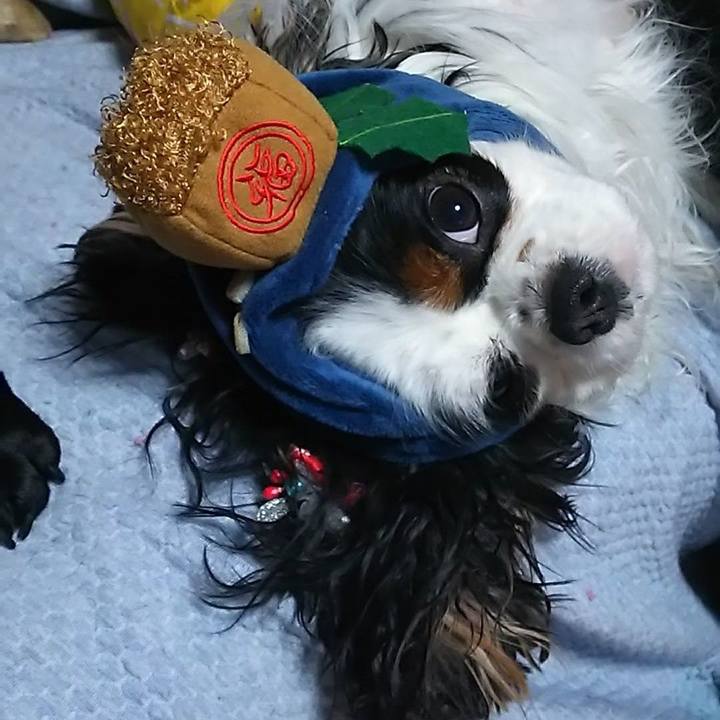 F0906da6 d237 45ea ab98 2cf1290bf597 1580667099314