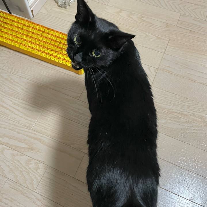 F0907709 0120 4339 9ec7 8746d0efb705 1665842552878