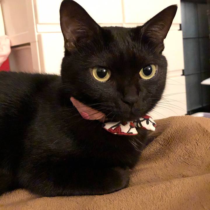 F090771d c9ed 4038 acdc 7ef5390d41c5 1571143734916