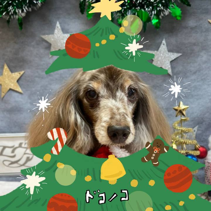 F09097ae 2feb 4909 a75d 479b26e11352 1761110382566