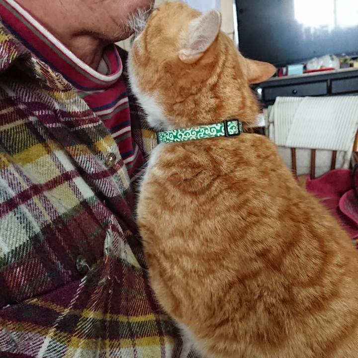 F0909949 f0a8 4181 8440 de2b424918eb 1581229257597